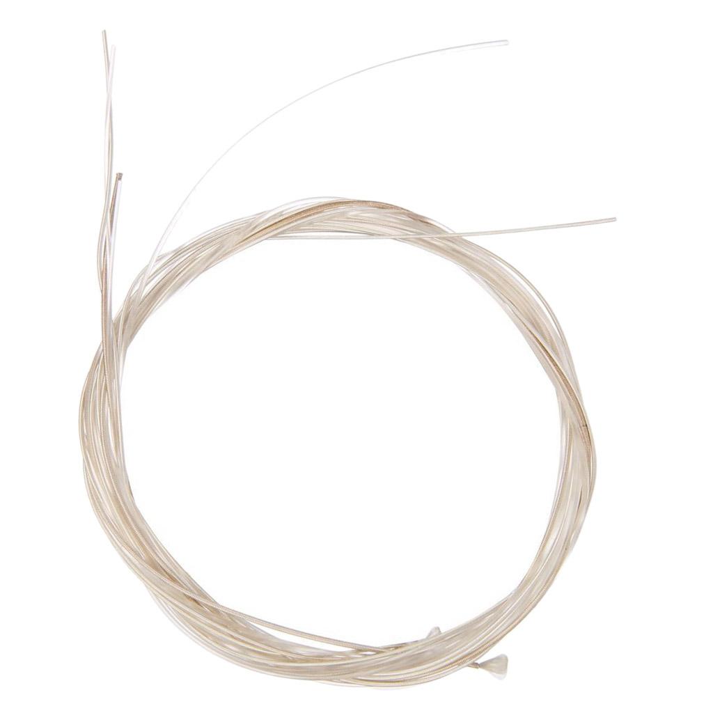 Classic Guitar Strings Nylon S - Classical Guitar Nylon ulasan dan harga