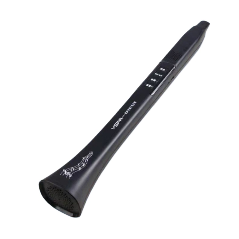 Portable Electronic Wind Instr - Musical Instrument With A ulasan dan harga