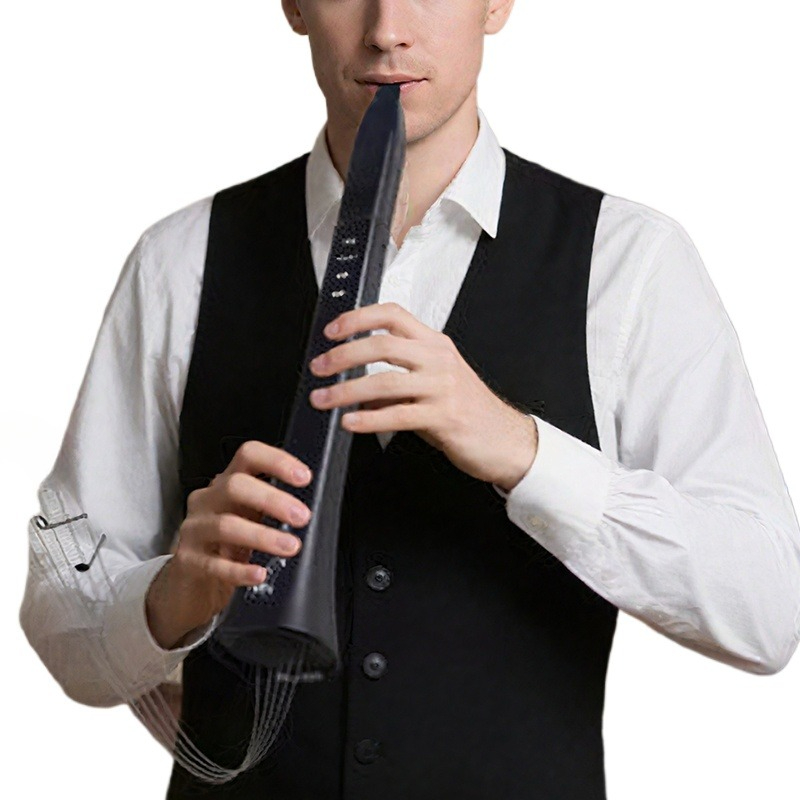 Portable Electronic Wind Instr - Musical Instrument With A ulasan dan harga