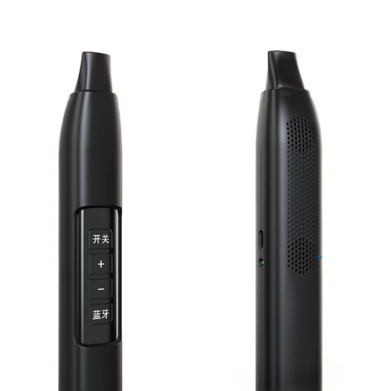 Portable Electronic Wind Instr - Musical Instrument With A ulasan dan harga